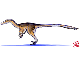 Velociraptor / © Daniel Bensen Velociraptor / © Daniel Bensen. Verwendet mit freundlicher Genehmigung des Autors.