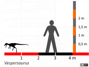 Größenvergleich / Dinodata.de. Creative Commons 4.0 International (CC BY 4.0)