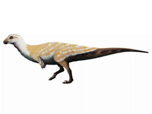 Vespersaurus / Nix Illustration. Creative Commons NonCommercial International 4.0 (CC BY-NC 4.0)