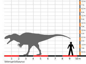 Größenvergleich / Dinodata.de. Creative Commons 4.0 International (CC BY 4.0)