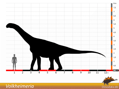 Größenvergleich / © Dinodata.de Größenvergleich / © Dinodata.de