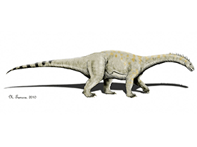 Vulcanodon /
© N. Tamura. Verwendet mit freundlicher Genehmigung des Autors Vulcanodon /
© N. Tamura. Verwendet mit freundlicher Genehmigung des Autors