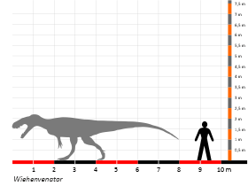 Größenvergleich / Dinodata.de. Creative Commons 4.0 International (CC BY 4.0)