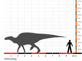 Größenvergleich / Dinodata.de. Creative Commons 4.0 International (CC BY 4.0)