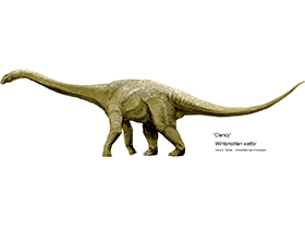 Wintonotitan
/ Travis R. Tischler. Creative Commons 4.0 International (CC BY 4.0) Wintonotitan
/ Travis R. Tischler. Creative Commons 4.0 International (CC BY 4.0)