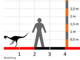 Grössenvergleich / Dinodata.de. Creative Commons 4.0 International (CC BY 4.0) Grössenvergleich / Dinodata.de. Creative Commons 4.0 International (CC BY 4.0)