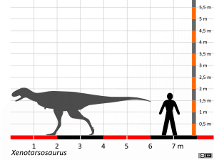 Größenvergleich / Dinodata.de. Creative Commons 4.0 International (CC BY 4.0)
