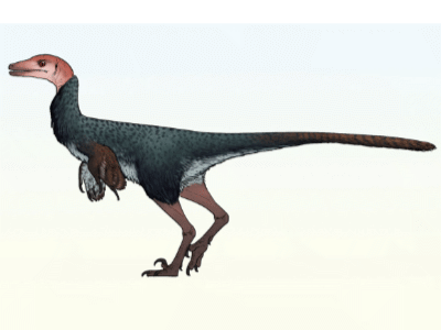 Xenovenator / © Connor Ashbridge