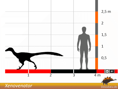 Größenvergleich / © Dinodata.de. Creative Commons 4.0 International (CC BY 4.0)