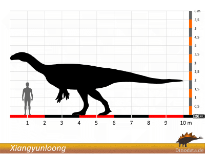 Größenvergleich / © Dinodata.de