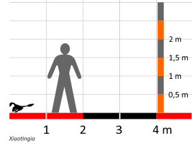 Größenvergleich / Dinodata.de. Creative Commons 4.0 International (CC BY 4.0)