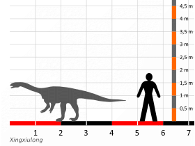 Größenvergleich © Dinodata.de. Creative Commons 4.0 International (CC BY 4.0) Größenvergleich / Dinodata.de. Creative Commons 4.0 International (CC BY 4.0)