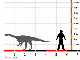 Größenvergleich / Dinodata.de. Creative Commons 4.0 International (CC BY 4.0)