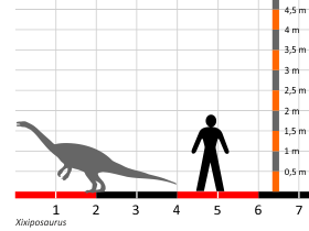 Größenvergleich / Dinodata.de. Creative Commons 4.0 International (CC BY 4.0)