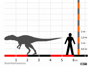 Größenvergleich © Dinodata.de. Creative Commons 4.0 International (CC BY 4.0) Größenvergleich / Dinodata.de. Creative Commons 4.0 International (CC BY 4.0)
