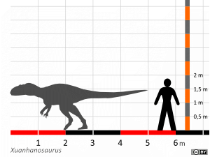 Größenvergleich / Dinodata.de. Creative Commons 4.0 International (CC BY 4.0)