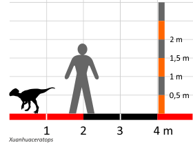 Größenvergleich / Dinodata.de. Creative Commons 4.0 International (CC BY 4.0)