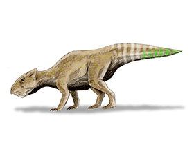 Yamaceratops / © N. Tamura Yamaceratops / © N. Tamura. Verwendet mit freundlicher Genehmigung des Autors