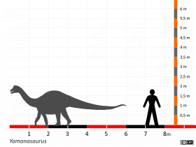 Größenvergleich / Dinodata.de. Creative Commons 4.0 International (CC BY 4.0)