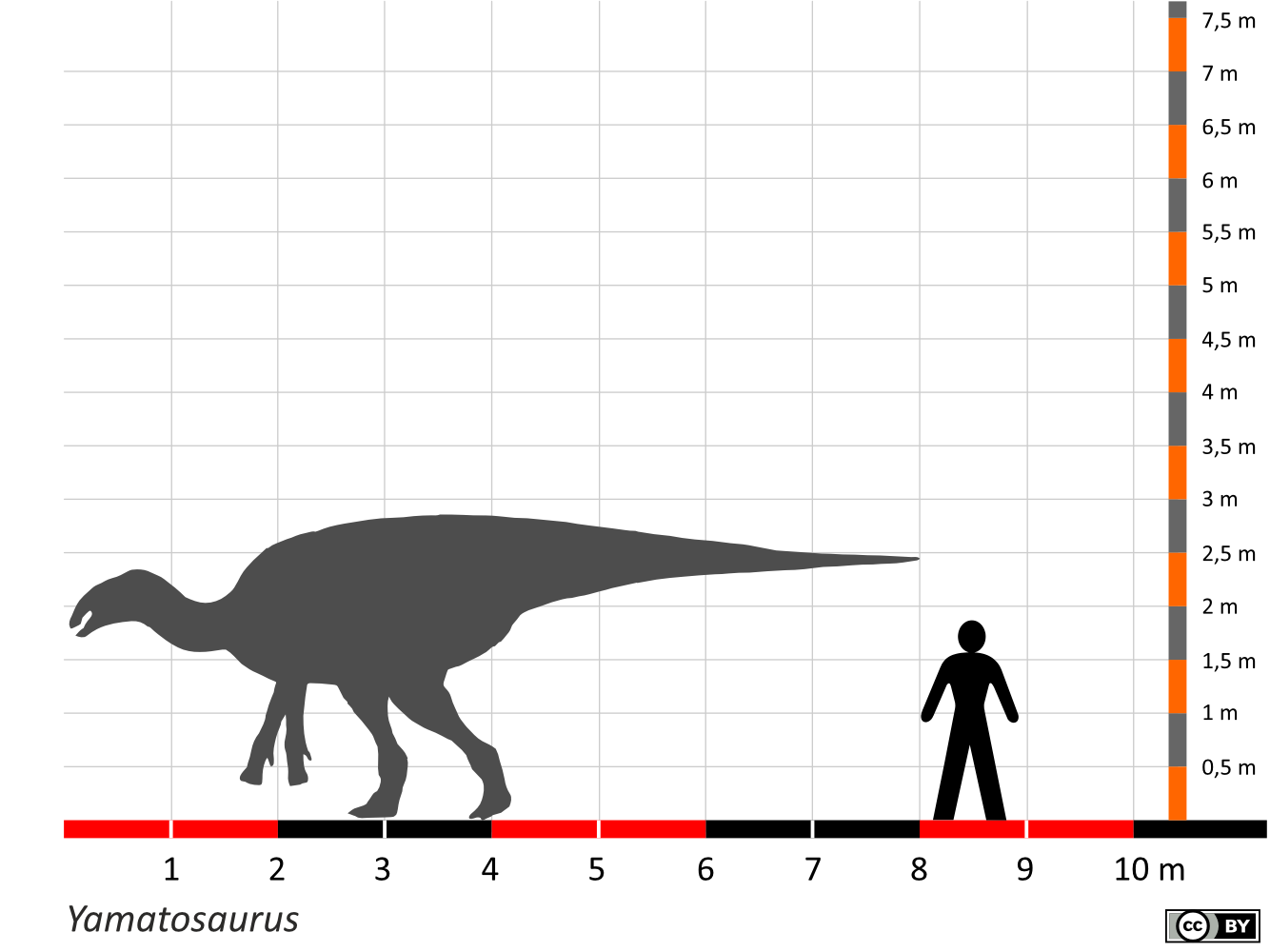 Größenvergleich / Dinodata.de. Creative Commons 4.0 International (CC BY 4.0)