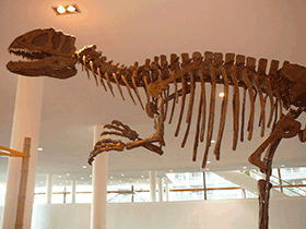Skelett des
Yangchuanosaurus
/ Crossroads. Creative Commons NonCommercial-NoDerivs 2.0 Generic (CC BY-NC-ND 2.0) Skelett des
Yangchuanosaurus
/ Crossroads. Creative Commons NonCommercial-NoDerivs 2.0 Generic (CC BY-NC-ND 2.0)