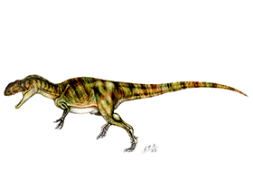 Yangchuanosaurus
 / © Sergio Perez. Verwendet mit freundlicher Genehmigung des Autors