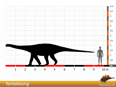 Größenvergleich / © Dinodata.de
