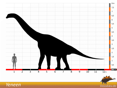 Größenvergleich / © Dinodata.de