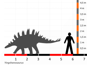 Größenvergleich / Dinodata.de. Creative Commons 4.0 International (CC BY 4.0)