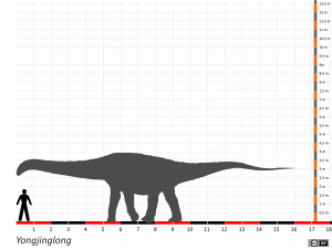 Größenvergleich © Dinodata.de. Creative Commons 4.0 International (CC BY 4.0)