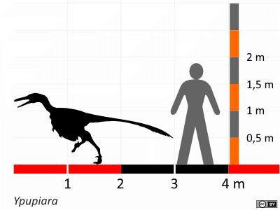 Größenvergleich / Dinodata.de. Creative Commons 4.0 International (CC BY 4.0)