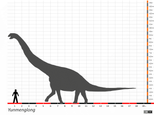 Grössenvergleich / Dinodata.de. Creative Commons 4.0 International (CC BY 4.0) Grössenvergleich / Dinodata.de. Creative Commons 4.0 International (CC BY 4.0)