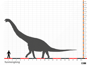 Grössenvergleich / Dinodata.de. Creative Commons 4.0 International (CC BY 4.0)