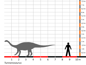 Größenvergleich / Dinodata.de. Creative Commons 4.0 International (CC BY 4.0)