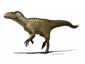 Yutyrannus
/ © Andrey Atuchin. Verwendet mit freundlicher Genehmigung des Autors Yutyrannus
/ © Andrey Atuchin. Verwendet mit freundlicher Genehmigung des Autors