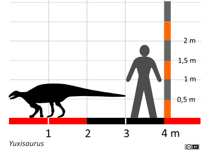 Größenvergleich / Dinodata.de. Creative Commons 4.0 International (CC BY 4.0)