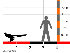 Größenvergleich © Dinodata.de. Creative Commons 4.0 International (CC BY 4.0) Größenvergleich / © Dinodata.de. Creative Commons 4.0 International (CC BY 4.0)