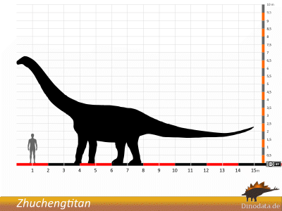 Größenvergleich / © Dinodata.de