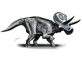 Zuniceratops / © Erik Christpher Omtvedt Zuniceratops / © Erik Christpher Omtvedt. Verwendet mit freundlicher Genehmigung des Autors.