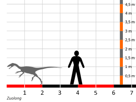 Größenvergleich © Dinodata.de. Creative Commons 4.0 International (CC BY 4.0) Größenvergleich / Dinodata.de. Creative Commons 4.0 International (CC BY 4.0)