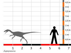 Größenvergleich / Dinodata.de. Creative Commons 4.0 International (CC BY 4.0)