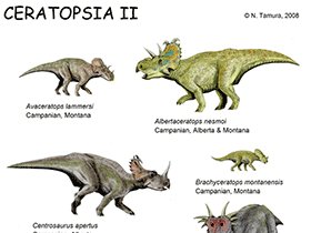 Ceratopsia II / © N. Tamura. Verwendet mit freundlicher Genehmigung des Autors. Ceratopsia II / © N. Tamura. Verwendet mit freundlicher Genehmigung des Autors.