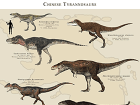 Chinesische Tyrannosaurier / © James Kuether. Verwendet mit freundlicher Genehmigung des Autors. Chinesische Tyrannosaurier / © James Kuether. Verwendet mit freundlicher Genehmigung des Autors.