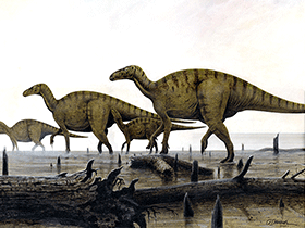 Iguanodontiden / © Arturo De Miguel Iguanodontiden / © Arturo De Miguel. Verwendet mit freundlicher Genehmigung des Autors.