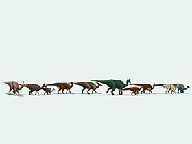 Tsintaosaurus, Jaxartosaurus, Amurosaurus, Charonosaurus, Parasaurolophus, Lambeosaurus, Nipponosaurus,
Olorotitan, Corythosaurus, Hypacrosaurus (von links) / © Edyta Felcyn-Kowalska. Verwendet mit freundlicher Genehmigung der Autorin. Tsintaosaurus, Jaxartosaurus, Amurosaurus, Charonosaurus, Parasaurolophus, Lambeosaurus, Nipponosaurus,
Olorotitan, Corythosaurus, Hypacrosaurus (von links) / © Edyta Felcyn-Kowalska. Verwendet mit freundlicher Genehmigung der Autorin.