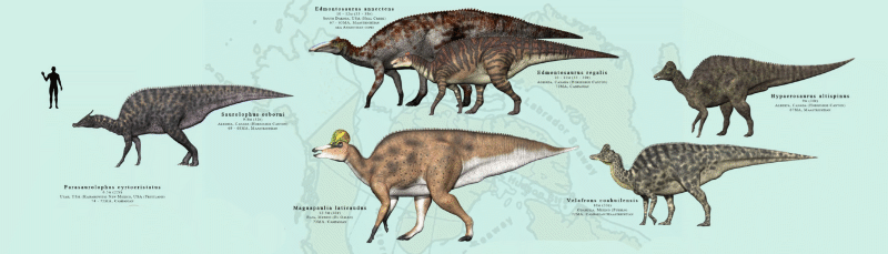 Nordamerikanische Hadrosaurier / &copy; James Kuether. Verwendet mit freundlicher Genehmigung des Autors.