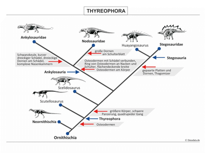 Schautafel der Thyreophora / © Dinodata.de