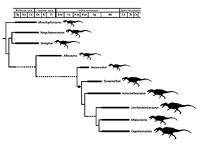 Phylogramm und Vergleich der Körpergröße der Allosaurier / Eddy & Clarke, bearbeitet durch Dinodata.de. Creative Commons 4.0 International (CC BY 4.0) Phylogramm und Vergleich der Körpergröße der Allosaurier / Eddy & Clarke, bearbeitet durch Dinodata.de. Creative Commons 4.0 International (CC BY 4.0)