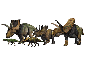Ceratopsia/ © Sergey Krasovskiy. Verwendet mit freundlicher Genehmigung des Autors Ceratopsia/ © Sergey Krasovskiy. Verwendet mit freundlicher Genehmigung des Autors