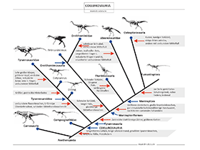 Schautafel der Coelurosauria / © Dinodata.de Schautafel der Coelurosauria / © Dinodata.de